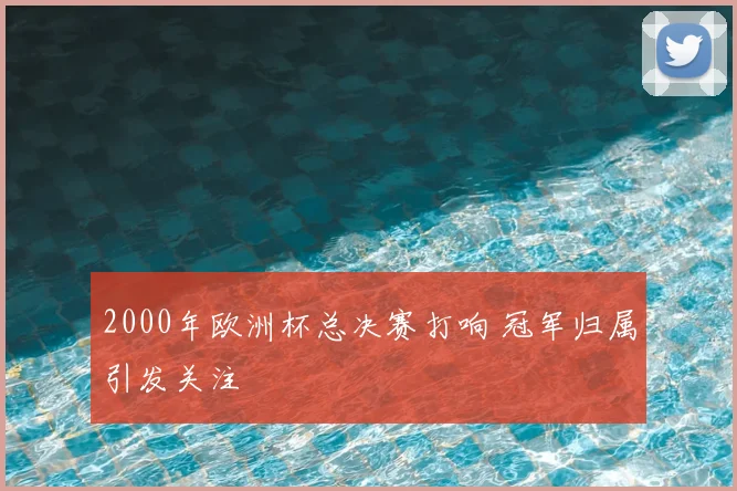 2000年欧洲杯总决赛打响 冠军归属引发关注